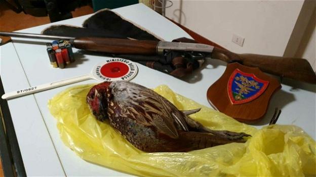 Brindisi, uccide un fagiano vicino ad un’area naturalistica protetta: denunciato cacciatore