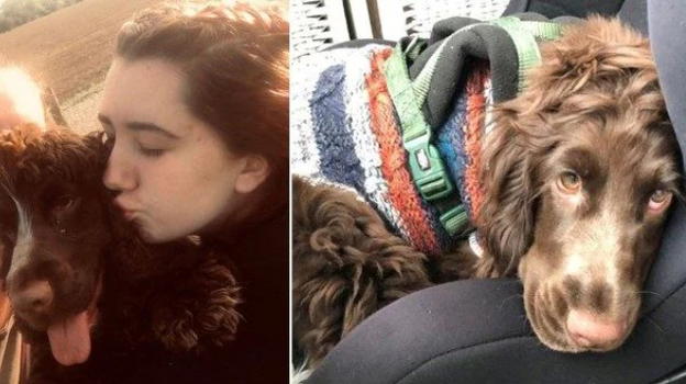 Ragazza autistica adotta cane cieco, salvandolo dalla soppressione: ora è il suo migliore amico
