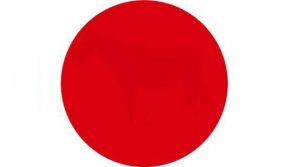 Test di abilità visiva: riesci a vedere cosa nasconde il cerchio rosso?