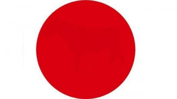 Test di abilità visiva: riesci a vedere cosa nasconde il cerchio rosso?