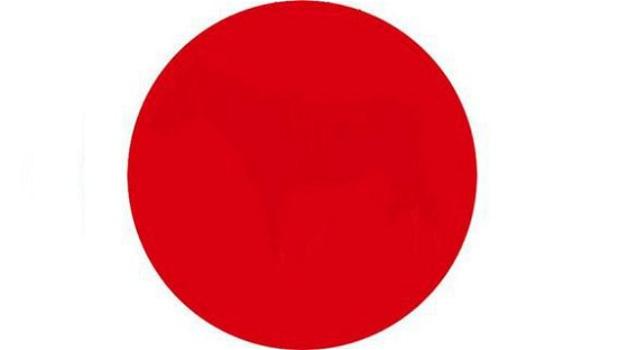 Test di abilità visiva: riesci a vedere cosa nasconde il cerchio rosso?
