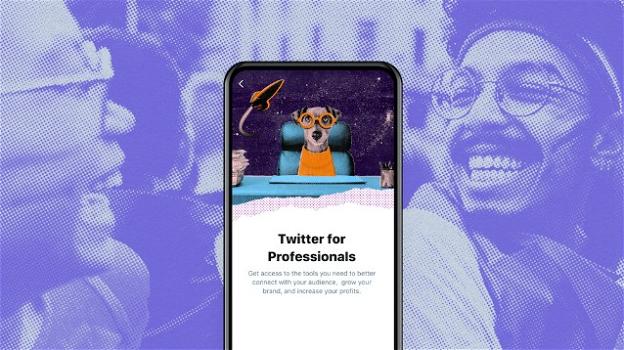 Twitter: al varo la piattaforma Twitter for Professionals