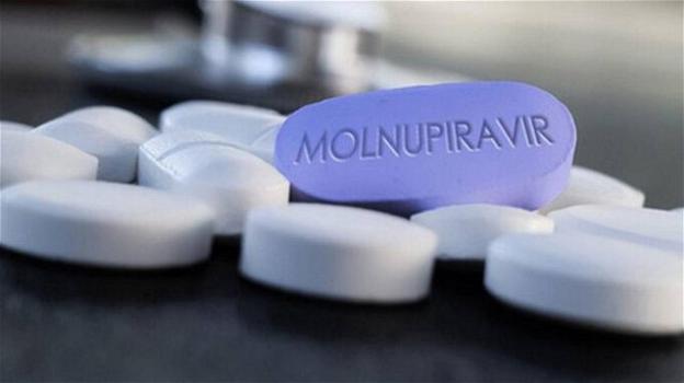Molnupiravir, il farmaco anti-Covid: "La pillola riduce del 50% i ricoveri e i decessi"