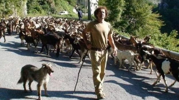 Un fulmine gli uccide metà gregge: scatta la raccolta fondi