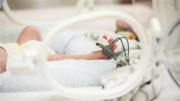 Verona, batterio killer in ospedale: 89 neonati morti o con gravi conseguenze e 7 indagati