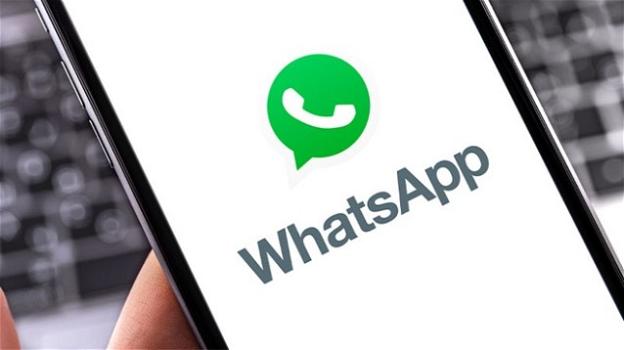 WhatsApp: in studio nuove opzioni per la privacy dell’immagine del profilo