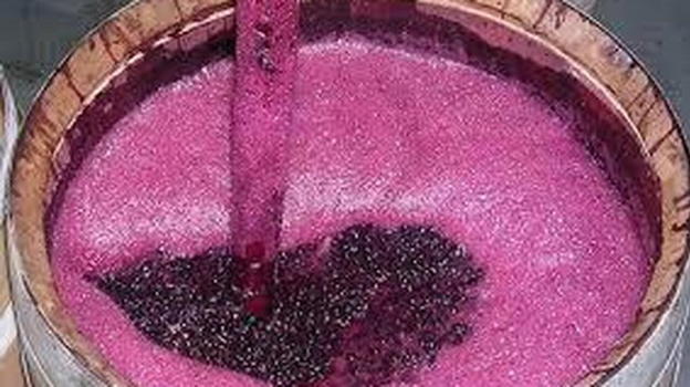 Andria, operaio cade nella vasca del mosto e muore