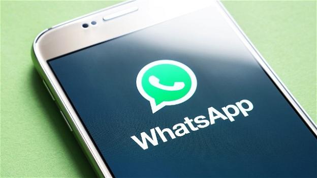 WhatsApp: in sviluppo un piccolo restyling per le informazioni di contatto