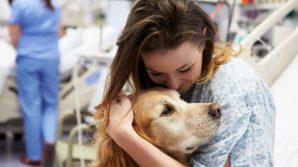 Animali e buonumore, i migliori antidepressivi
