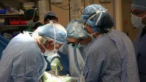Rene di maiale trapiantato nell’uomo con successo: la prima volta nella storia della medicina