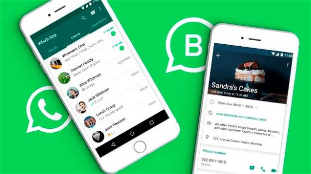 WhatsApp: in roll-out nuovo modo per visionare gli aggiornamenti Stato Business