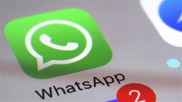 WhatsApp: tante novità nelle ultime beta per iOS, standard e for Business
