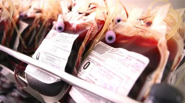 Muore per una trasfusione di sangue infetto: 450 mila euro di risarcimento alla famiglia