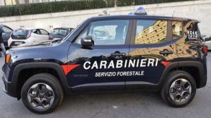 Brindisi, spara ad un colombo torraiolo: bracconiere raggiunto dai carabinieri e denunciato