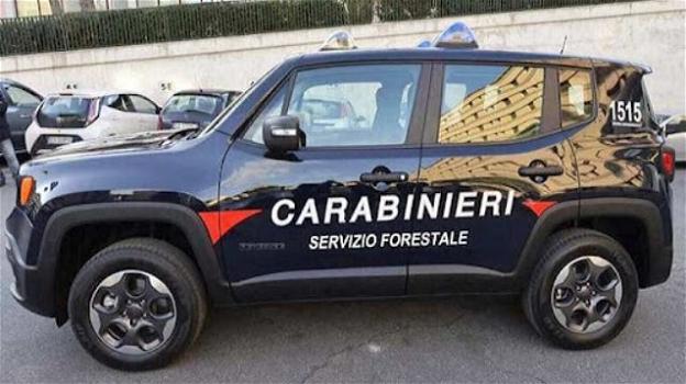 Brindisi, spara ad un colombo torraiolo: bracconiere raggiunto dai carabinieri e denunciato