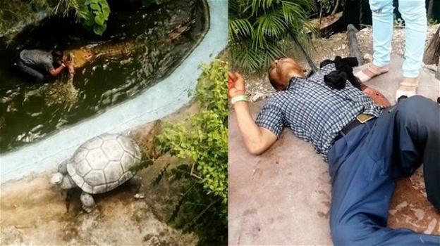 Filippine: pensa che il coccodrillo sia finto ed entra nel recinto per un selfie, 68enne attaccato dall’animale