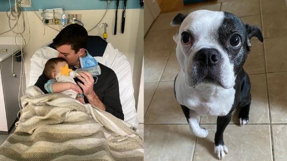 USA: cane eroe salva la vita ad una neonata che aveva smesso di respirare nel sonno