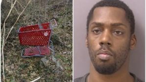USA, Anthony Robinson: il serial killer dei carrelli della spesa