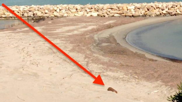Brindisi, il bombolone spiaggiato da un anno a Campo di Mare e che "sfida" la burocrazia