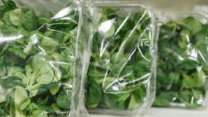 Cibo, test su insalata venduta in busta: