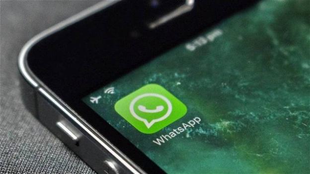 WhatsApp: pulsante cerca nel profilo su Android, Reactions nella versione per Desktop