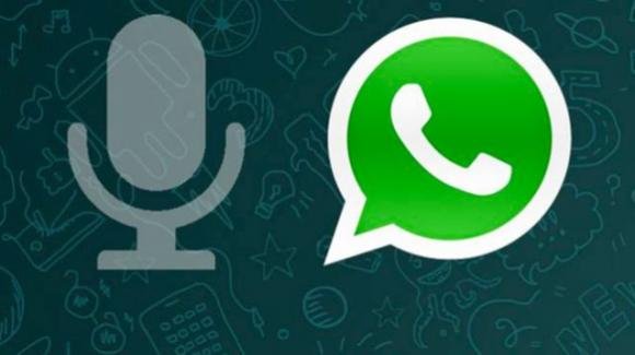 WhatsApp (beta): arriva su Android la possibilità di stoppare e riprendere le note audio