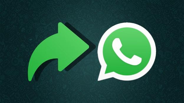 WhatsApp: i messaggi inoltrati possono essere inoltrati a un solo gruppo per volta