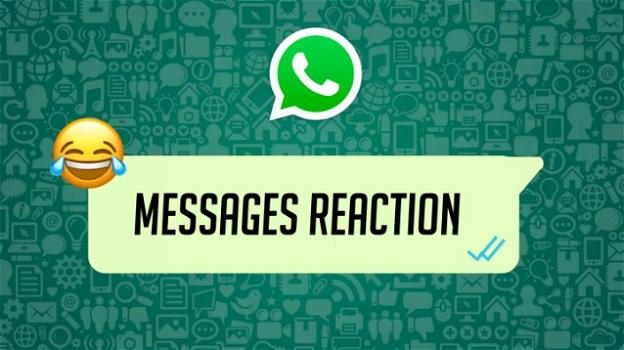 WhatsApp: in roll-out le Reactions, avvistata impostazione per il cambio di lingua