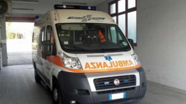 Trieste, non risponde al controllo dell’Inps: ritrovata mummificata col gatto