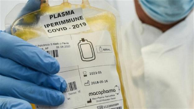 Covid-19, nuovo studio: il plasma iperimmune è efficace se usato entro 5 giorni: "Riduce il rischio di ricovero del 54%"