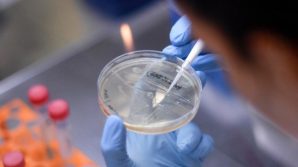 Covid: perché non dobbiamo allarmarci per la nuova variante ricombinante XE