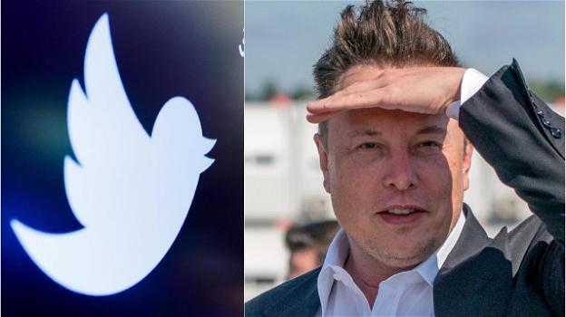 Twitter: nuovi sviluppi sul tentativo di scalata di Musk, rumors vari