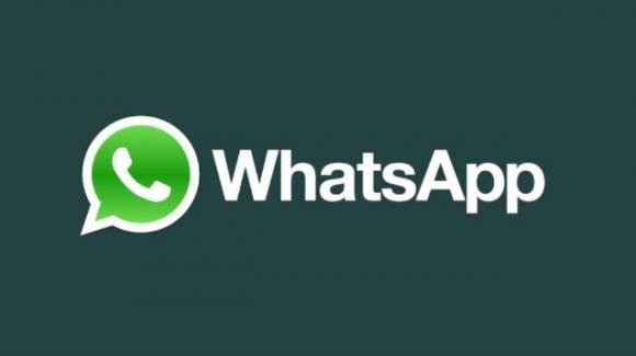 WhatsApp: novità per sondaggi di gruppo, account multi-device e pagamenti in-app
