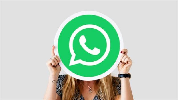 WhatsApp: tante scoperte nelle ultime beta per Android e iOS