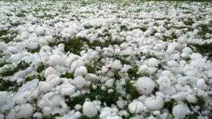 Allerta meteo per queste 5 regioni nelle prossime ore