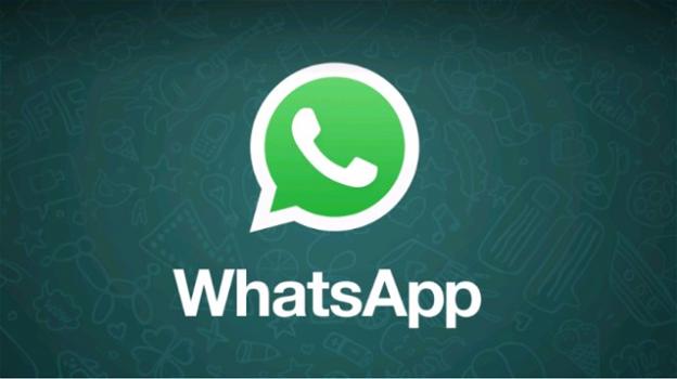 WhatsApp: bug corretto, novità condivisione file, rumors aggiornamenti di Stato