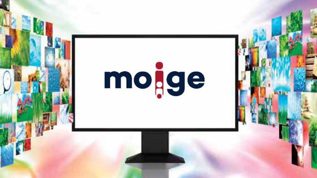 Premio Moige 2022, vincono il "bidoncino del trash" il "Grande Fratello Vip", "La pupa e il secchione" e "Squid Game"