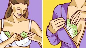 Il rimedio che pochi conoscono, metti 2 foglie di cavolo nel reggiseno: gli effetti sono sorprendenti