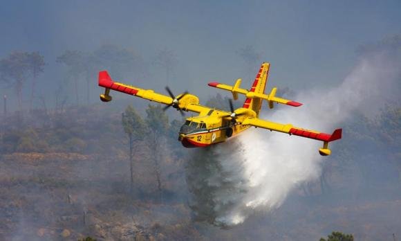 Caldo rovente nel Salento: in fiamme il bosco di Santa Teresa a Tuturano