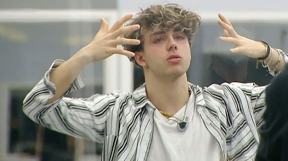 Amici 22, Mattia Zenzola non avrà un banco assicurato nel talent show?