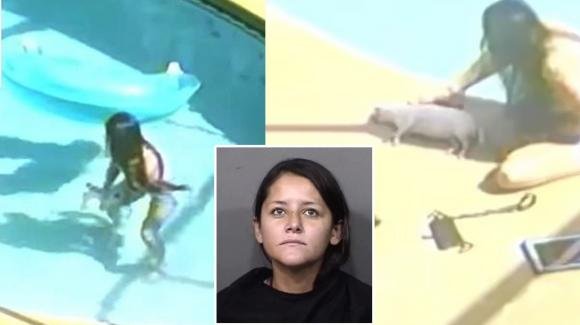USA: affoga Chihuahua in piscina e poi posa con il suo corpo, l’orrore ripreso in video