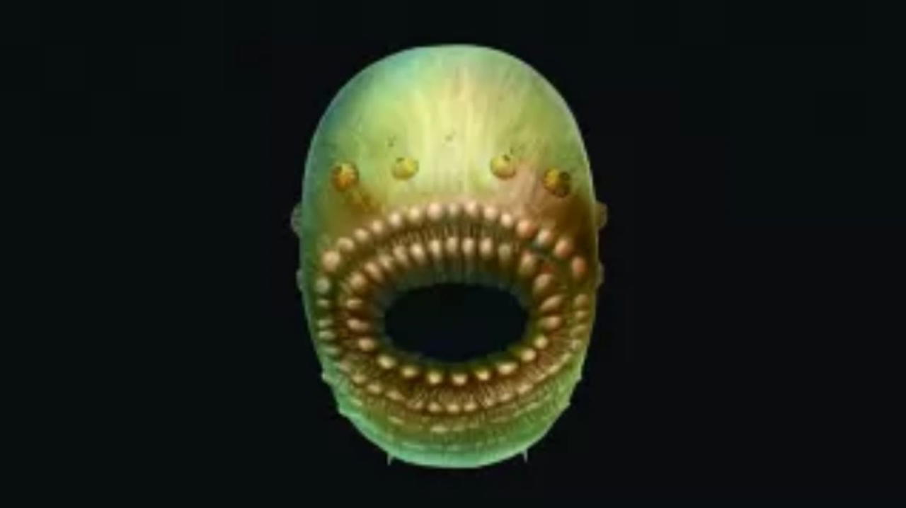 Strana creatura ritrovata in Cina: gli scienziati scoprono di cosa si tratta
