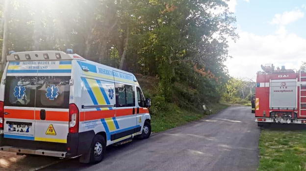 Punto da un calabrone nel bosco, 53enne muore per un arresto cardiaco