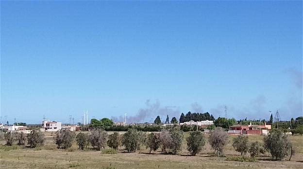 Incendio alle saline di Punta della Contessa a Brindisi: fumo visibile per chilometri