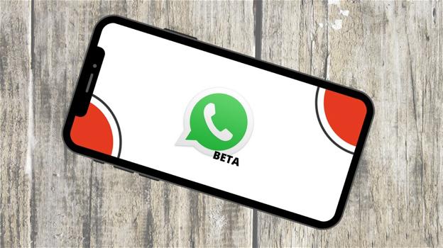 WhatsApp: novità avvistate per la chat ufficiale e gli avatar