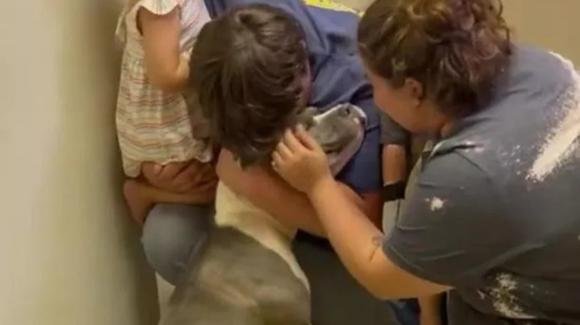 Cane viene ritrovato dopo 10 mesi: il commovente incontro immortalato in un video