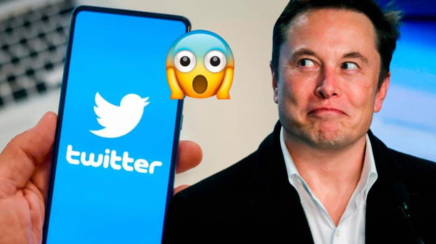 Twitter: ecco cosa ha in serbo Musk per le funzioni a pagamento