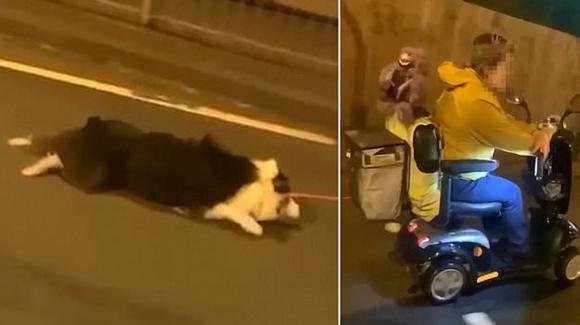 UK: ripresa mentre trascina il cane per strada viaggiando su uno scooter per disabili