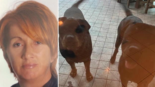 Modena: 68enne sbranata dai suoi due rottweiler, il racconto choc della figlia