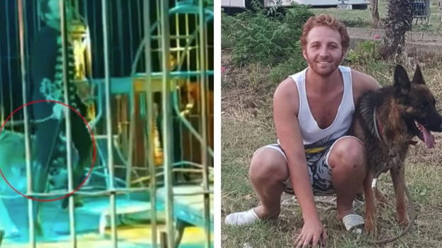 Paura al circo: Ivan Orfei azzannato dalla tigre con gli spettatori sotto choc